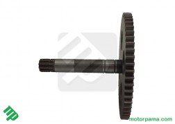 ingranaggio trasmissione cambio grizzly  (1)